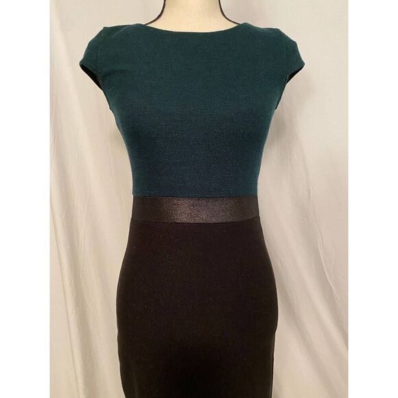 NWT M by MAIOCCI Sheath Dress Exposed Zipped Metallic Silver Sheen S - Picture 8 of 9